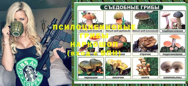 мдпв Арсеньев