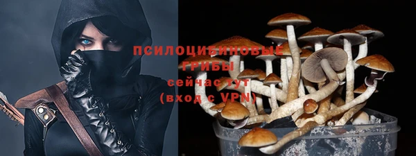 молекула духа Аркадак