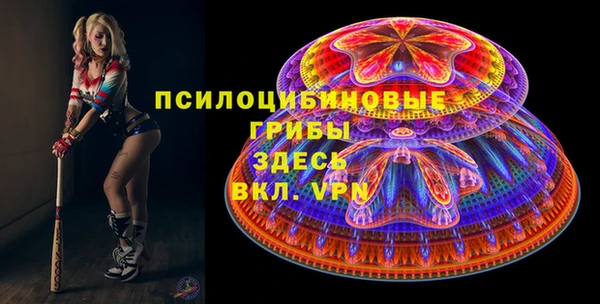 мдпв Армянск