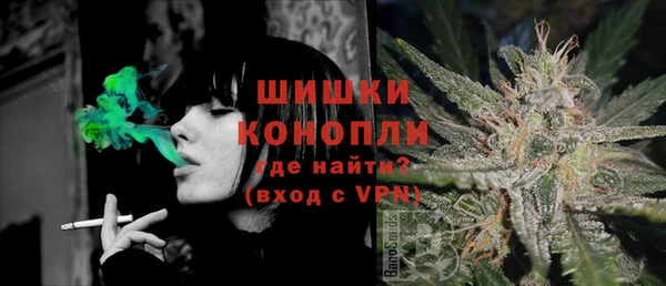 молекула духа Аркадак