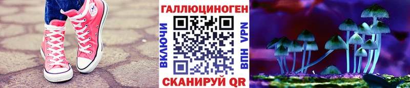 Псилоцибиновые грибы Psilocybine cubensis  Медвежьегорск 